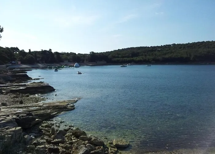 House Barbara 아파트